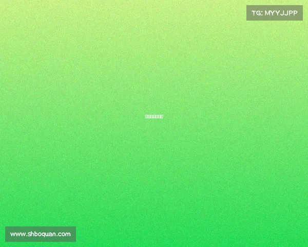 搏击比赛分几种