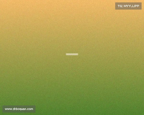 深圳承办各大体育赛事