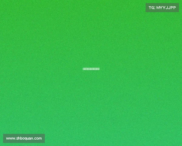 赛事控制、比赛控制区域